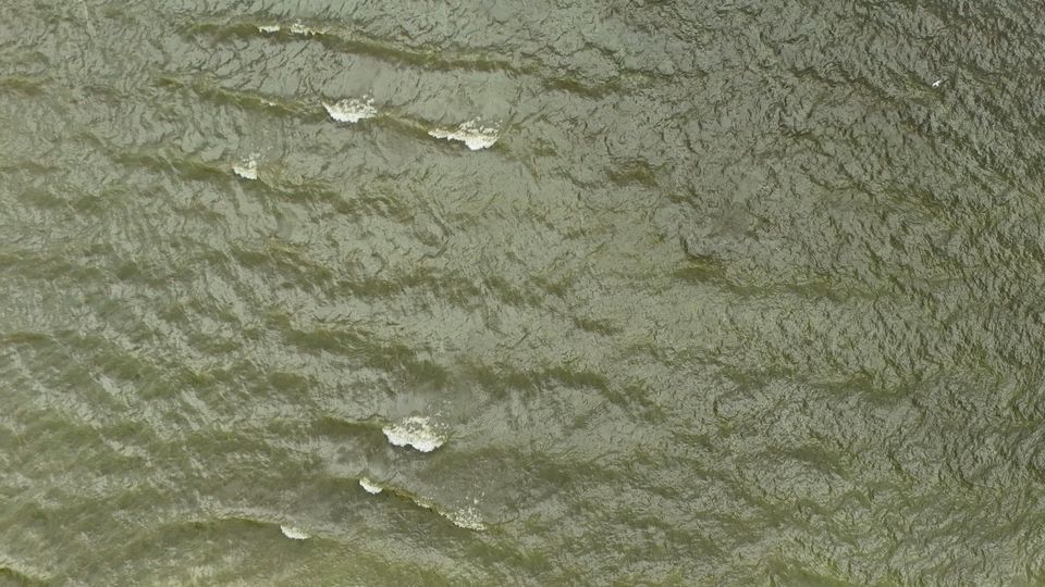 Blue-green algae on Lough Neagh in July 2024 (Niall Carson/PA)