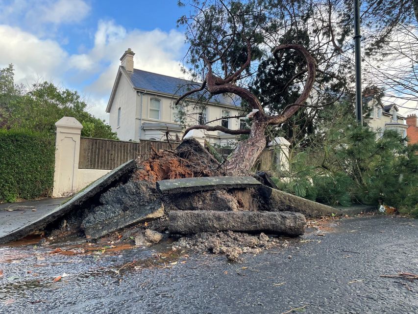 Residents across Ireland have been urged to stay at home as the entire island braces for the arrival of Storm Eowyn (David Young/PA)