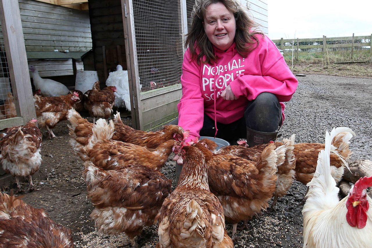 Best hen party ever: A sanctuary for feathered friends |  BelfastTelegraph.co.uk