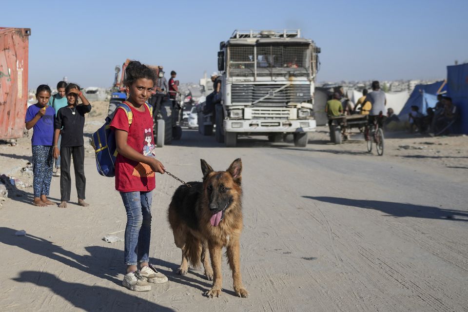 A Palestinian girl and her dog flee the Khan Younis area (Abdel Kareem Hana/AP)