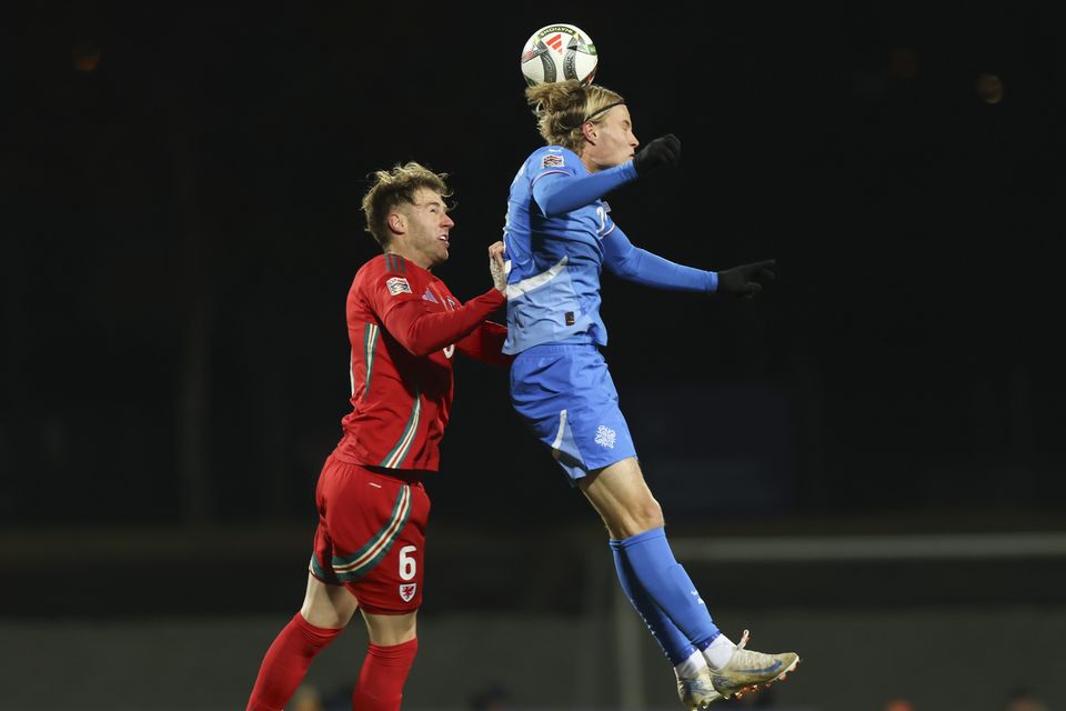 Wales and Iceland had to settle for a draw (Arni Torfason/AP)