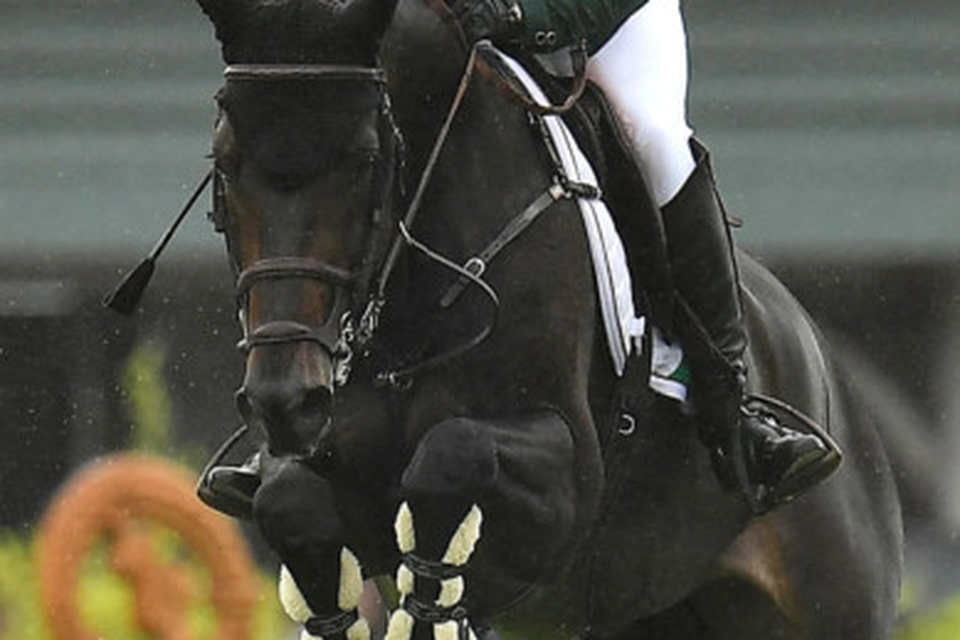 Simpson's super success at Horse of the Year Show | BelfastTelegraph.co.uk