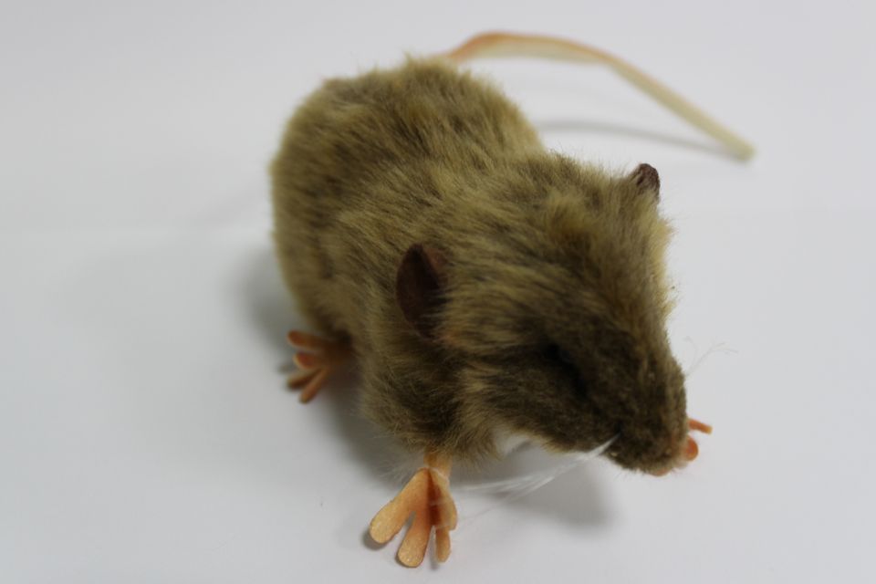 Cuddly rat hot sale toy