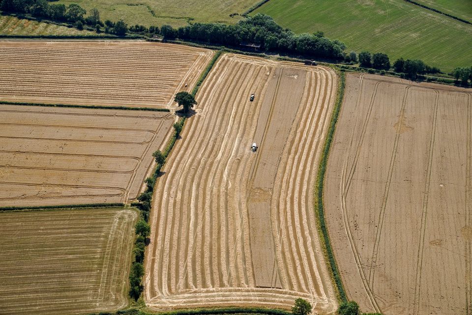 The independent advisory Climate Change Committee warned in its annual report that there had been a lack of progress and policies on cutting emissions from agriculture (PA)