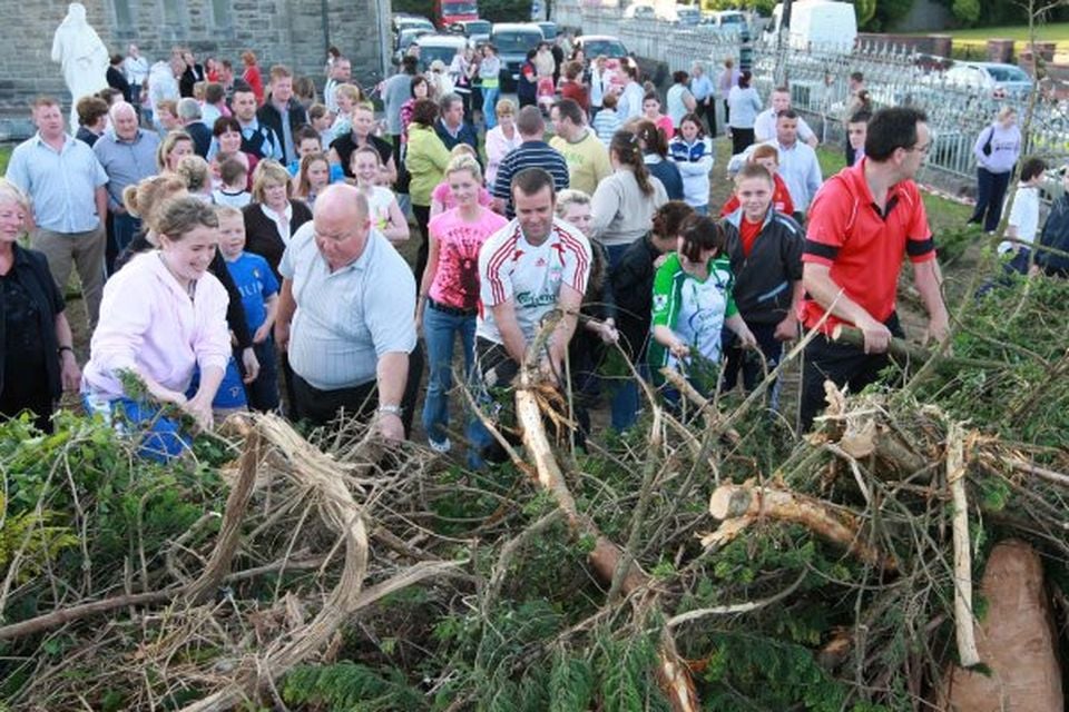 Battle to save Virgin Mary tree stump | BelfastTelegraph.co.uk