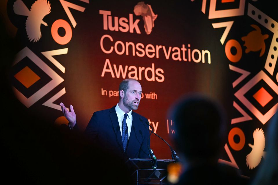 The Prince of Wales speaks at the Tusk Conservation Awards (Justin Tallis/PA)