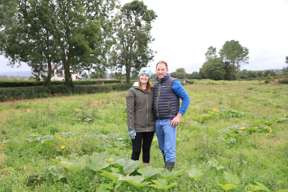 Claire and her husband William Clark, who grow pumpkins at their Craighall Farm in Co Antrim (Picture by Peter Morrison) in Antrim (Picture by Peter Morrison)