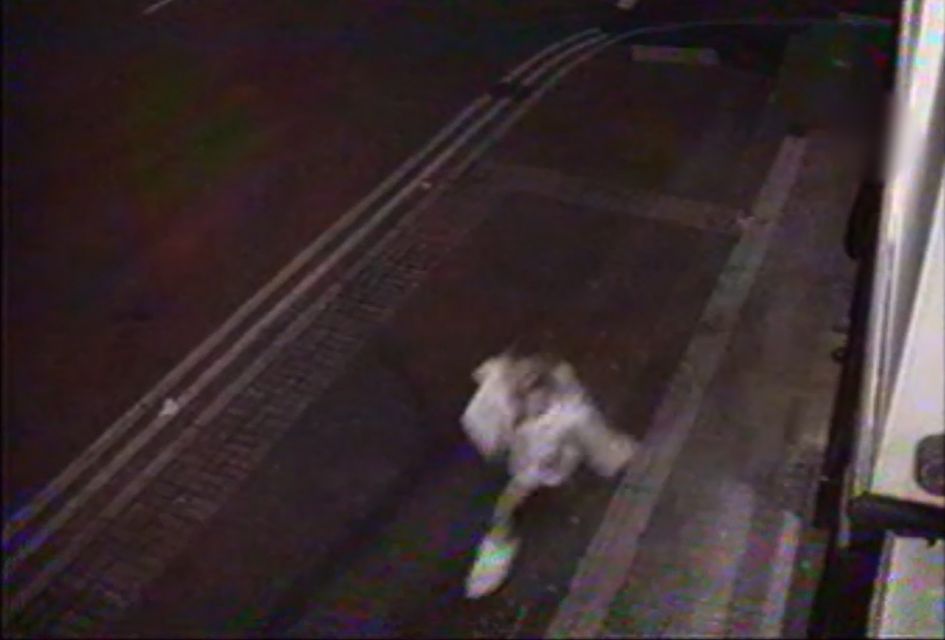 CCTV footage has been released of Lisa Dorrian entering Lock and Quay in Groomsport (PSNI/PA) 