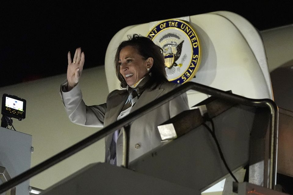 Ms Harris also promised to ‘address the issue of immigration’ (Julia Nikhinson, Pool/AP)