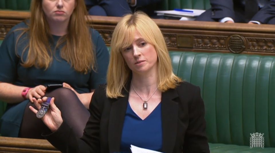 Labour MP for Canterbury Rosie Duffield has described the two-child benefit cap as an ‘anti-feminist and unequal piece of legislation’ (PA)