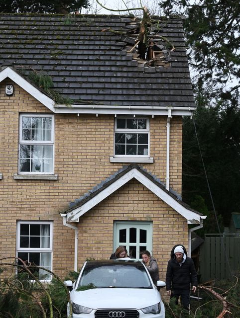 Residents survey damage to car and a fallen tree through the roof of a house during Storm Éowyn on January 24, 2025 in Newtownabbey, Co Antrim. Photo: Charles McQuillan/Getty Images