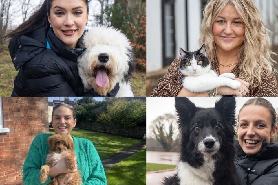 Our local pawrents and their furbabies