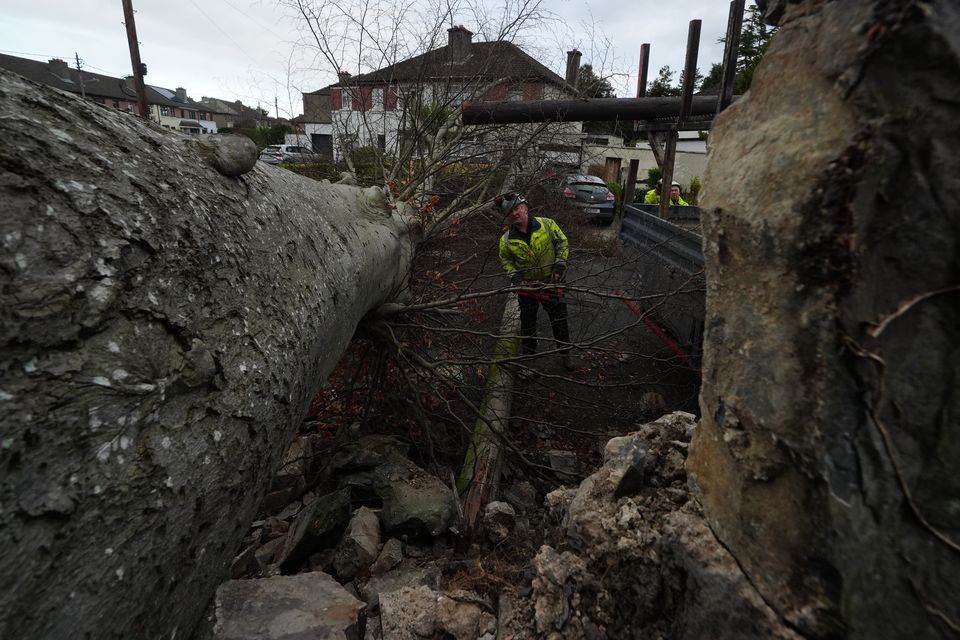 Workers remove a fallen tree which crashed through the wall of Phoenix Park and on to Blackhorse Avenue in Dublin (Brian Lawless/PA)