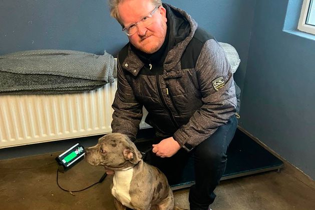 ‘Death row dog’: Max being cared for well, says councillors after surprise visit to kennels