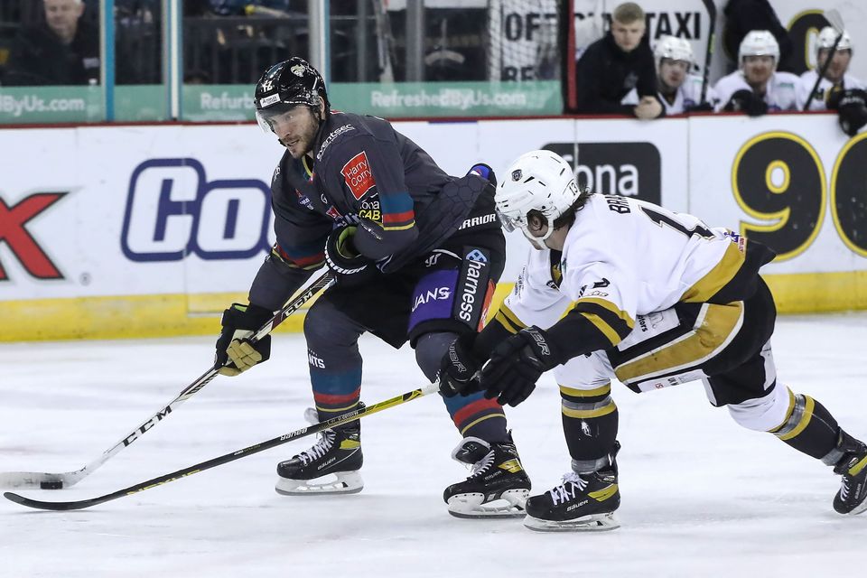 JJ Piccinich is back with the Belfast Giants for the 2024/25 season