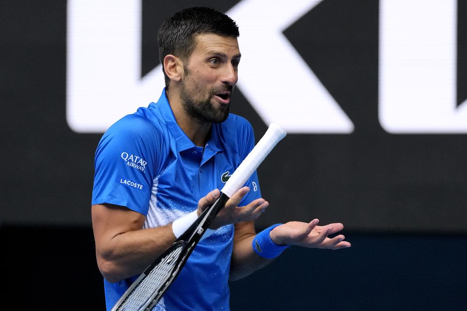 Novak Djokovic (pictured) was pushed by 21-year-old Faria, who is ranked down at 125 (Vincent Thian/AP)