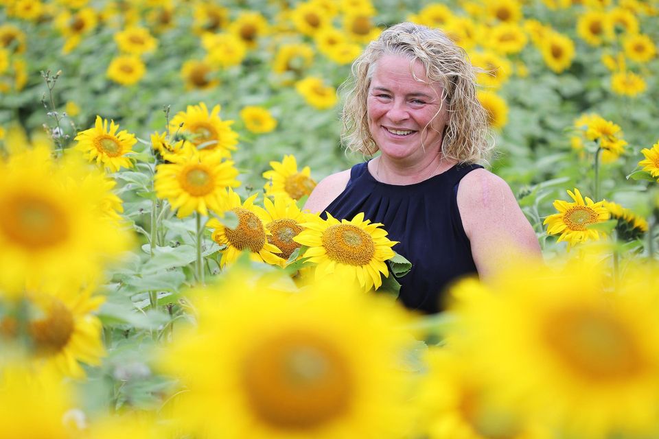 Geraldine Mullan opens Field of Hope sunflower maze in Donegal in ...