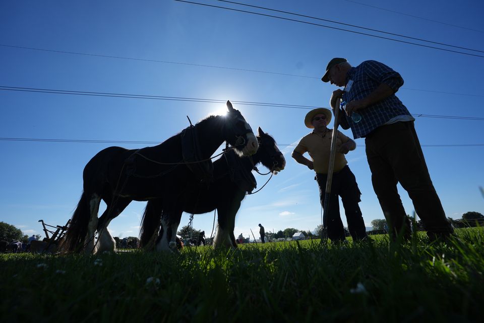 Gerry North from Offaly and James Coffey from Roscommon at the National Ploughing Championships (Niall Carson/PA)