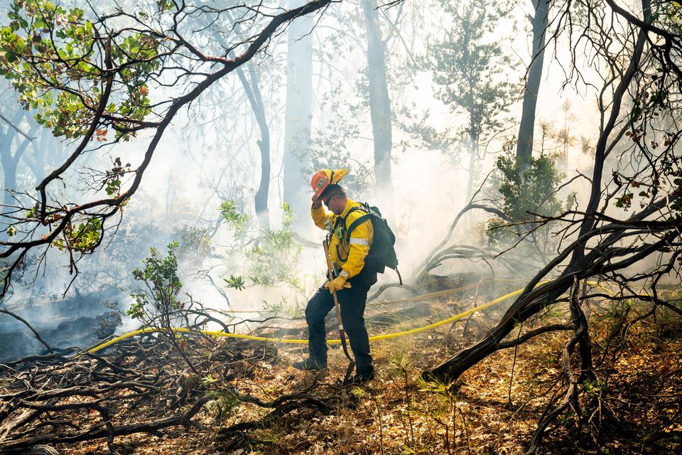 A firefighter pauses to keep the Park Fire from jumping a California highway (AP Photo/Noah Berger)