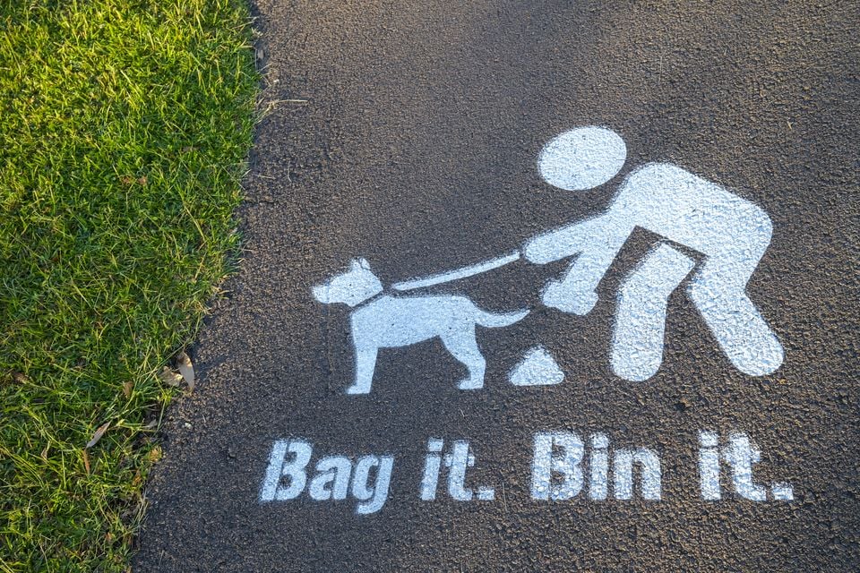 Dog fouling is a persist issue