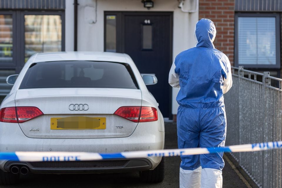 Police attend the scene of a sudden death in the Burnvale Crescent area of Cookstown March 9, 2025 (Credit: Luke Jervis)