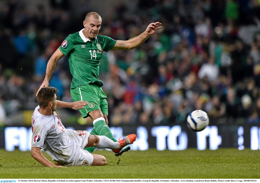 Darron Gibson won 27 Republic of Ireland caps