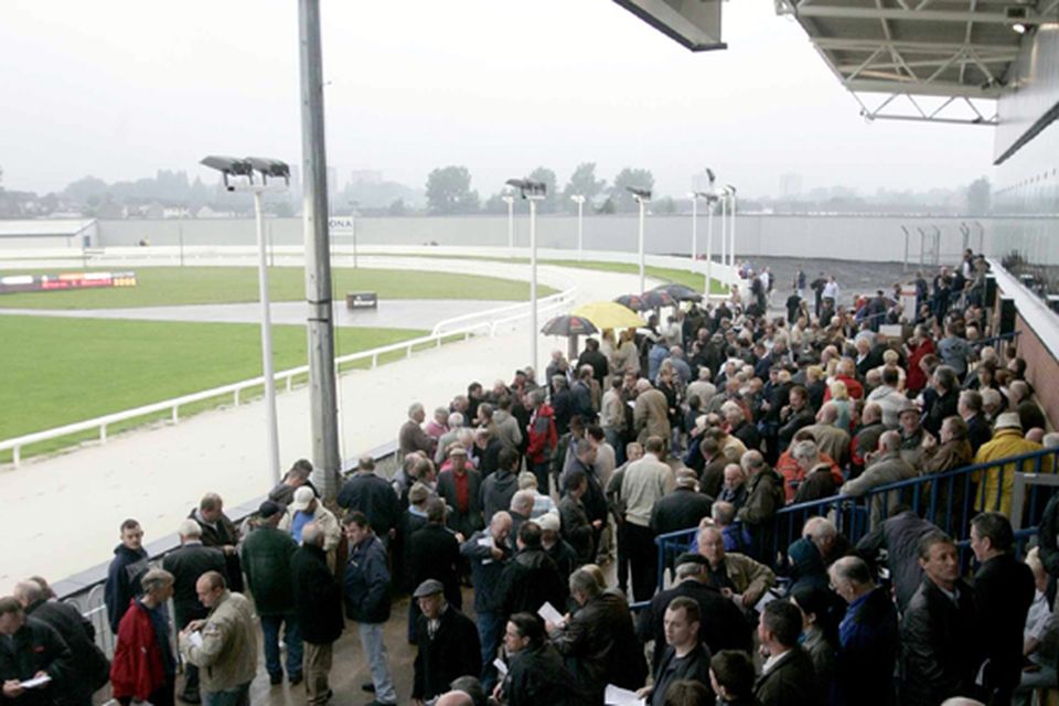 Jobs lost in immediate closure of Northern Ireland greyhound