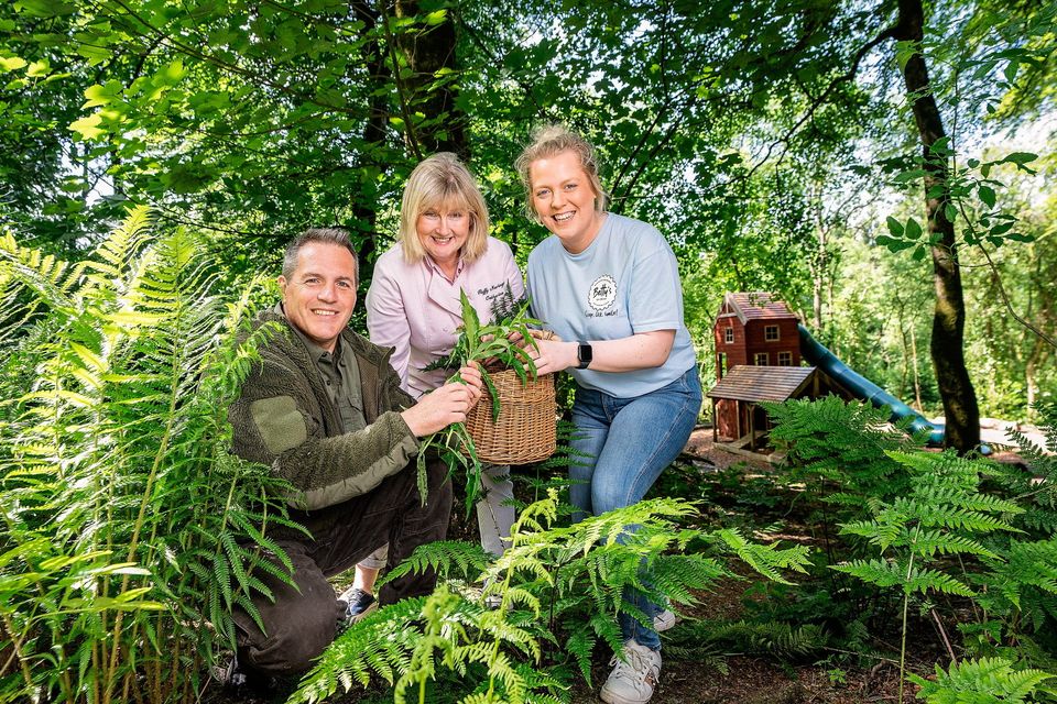 Paul Moore Wild Walk Bushcraft, Catherine Finnegan Fluffy Meringue and Bethany Boyd Betty’s Ice-cream.