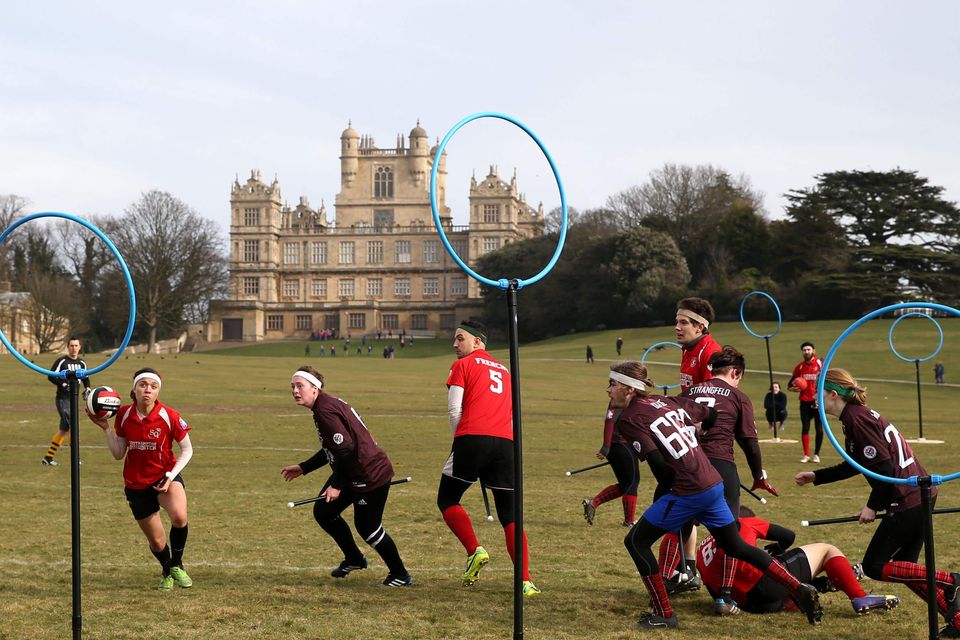 Quidditch cup deals