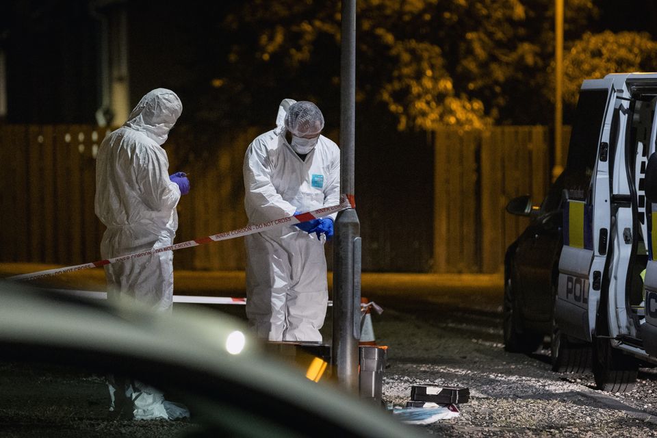 Police and forensic officers at the scene of a sudden death of a woman aged in her 80s in the Hawthorne Court area of Bangor on June 2nd 2024 (Photo by Kevin Scott)