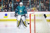 thumbnail: Petr Cech during his guest appearance for the Belfast Giants against a Ukrainian side