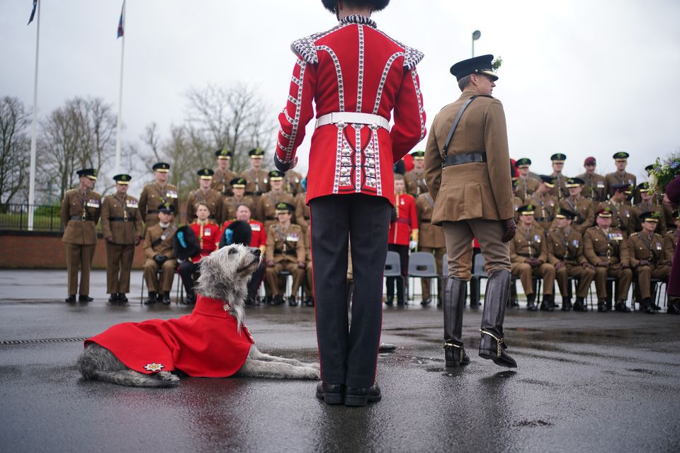 Irish Guards mascot, Irish wolfhound Seamus, by the feet of his handler at Mons Barracks on St Patrick’s Day last year (Yui Mok/PA)