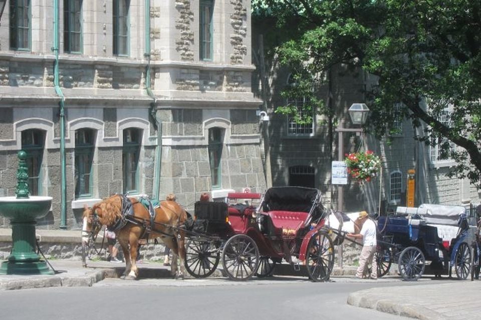 Tale of two cities – and some townships  BelfastTelegraph.co.uk