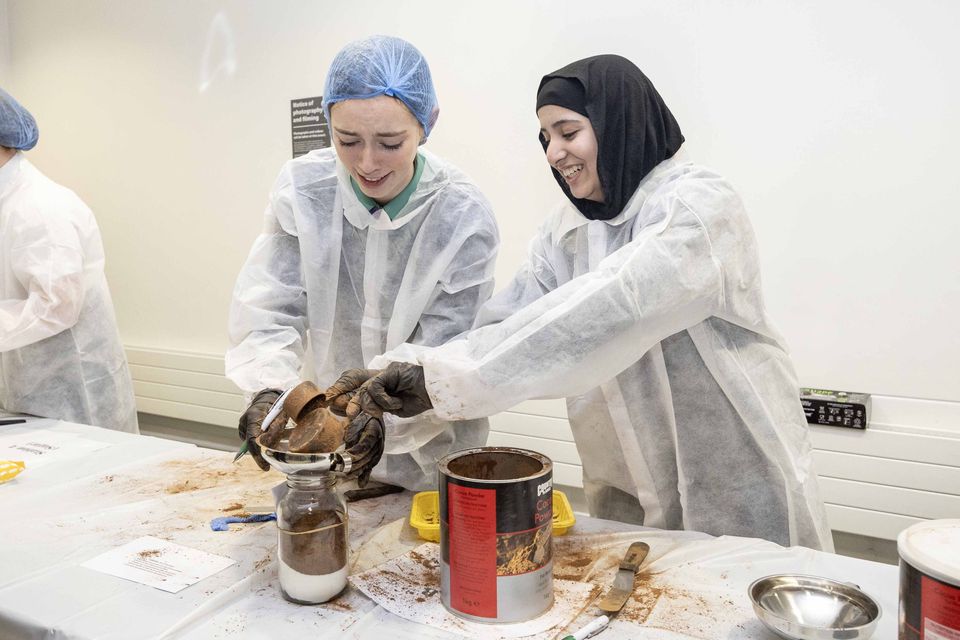 Professor Brian Cox encourages Northern Ireland's future scientists to activate their curiosity at STEAM school initiative