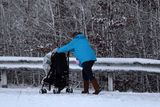 thumbnail: Pacemaker Press 08/12/2017
Snow falls  in Crumlin , as heavy snow falls across  Northern Ireland on Friday morning, leaving difficult driving conditions for motorists and some schools closed.
Pic Colm Lenaghan/ Pacemaker