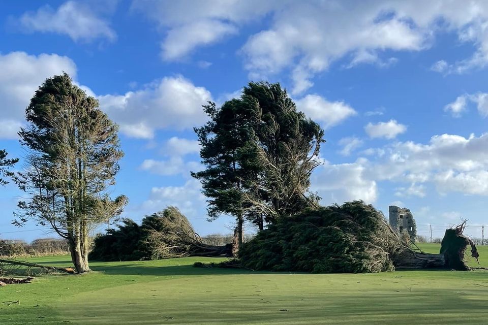 Downed trees at Bright Castle Golf Course