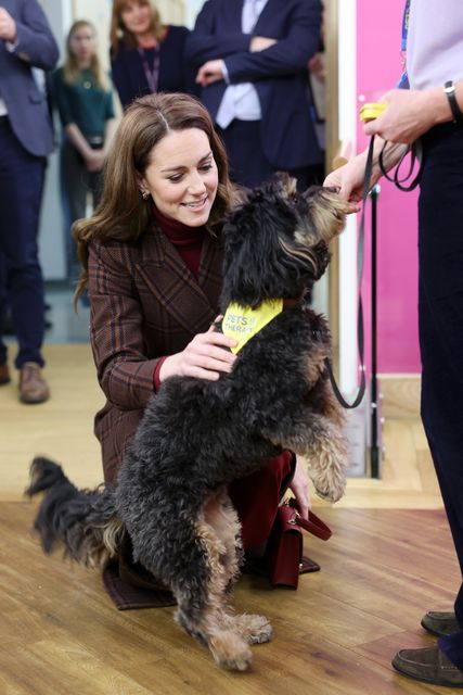 Kate meets therapy dog Scout (Chris Jackson/PA)