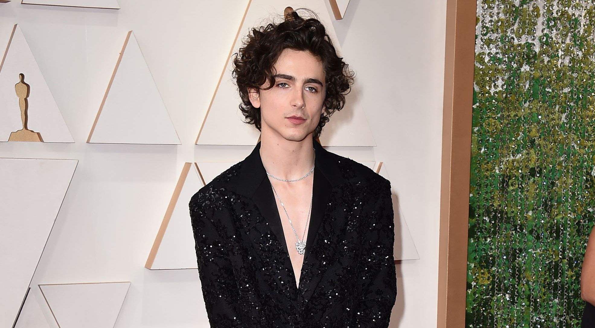 Timothée Chalamet Showed Up Shirtless at the Oscars