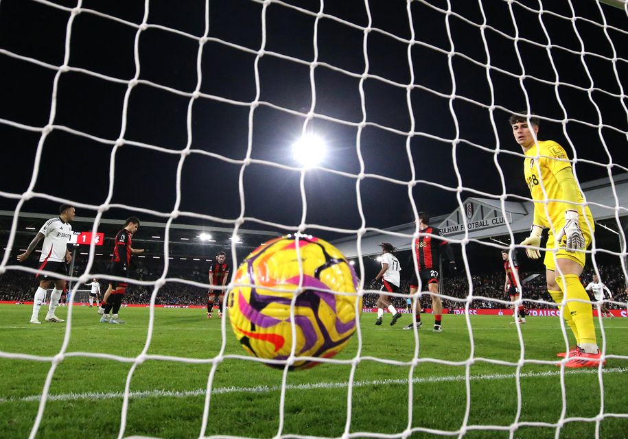 Harry Wilson was on target for Fulham (Steven Paston/PA)