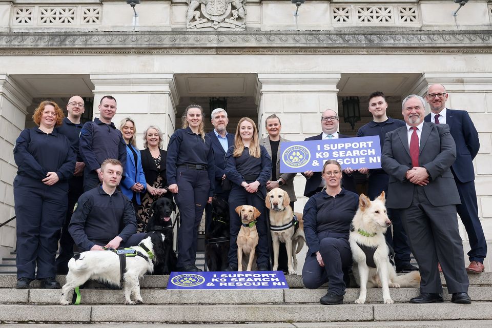 The K9 Search and Rescue charity at Stormont. Picture by Jonathan Porter/PressEye.