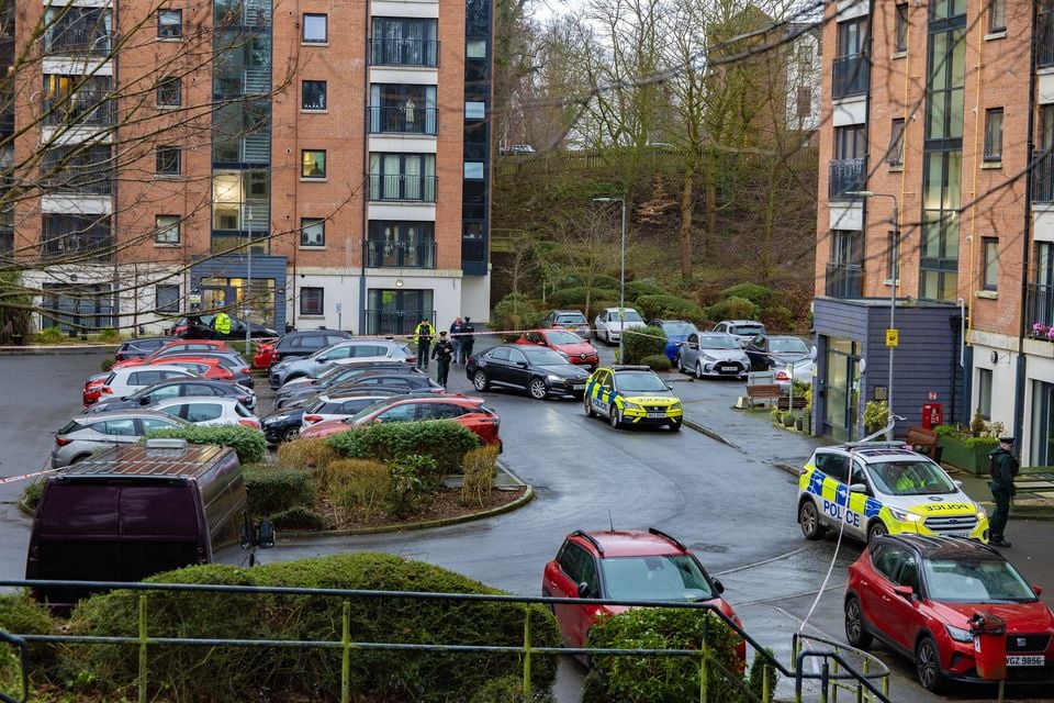 Police at the scene of a sudden death in Dunmurry on Wednesday afternoon. Pic: Kevin Scott