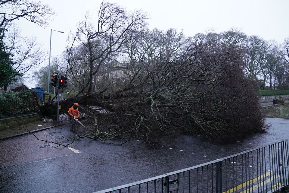 The storm brought down many trees (Jane Barlow/PA)