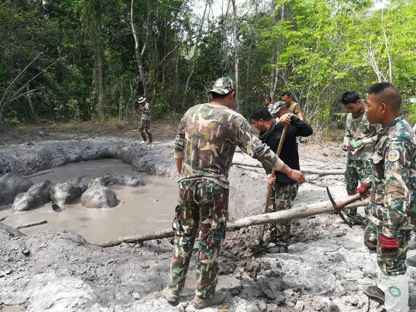 Park rangers rescue six baby elephants trapped in mud pit |  BelfastTelegraph.co.uk