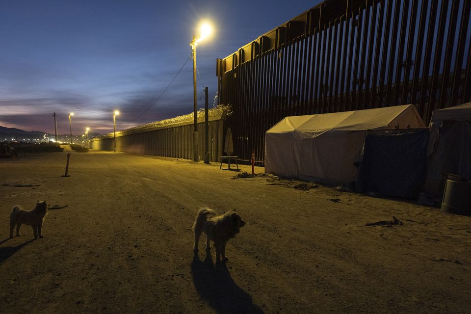 Dogs near a border wall separating Mexico from the US (Gregory Bull/AP)