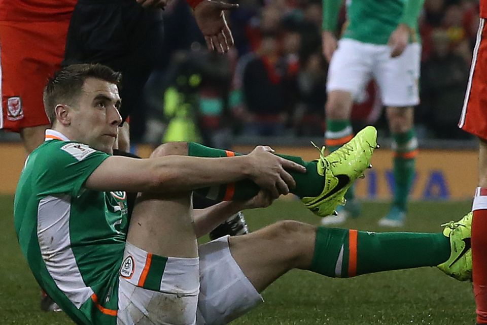 960px x 640px - No timescale put on Seamus Coleman's recovery from broken leg |  BelfastTelegraph.co.uk