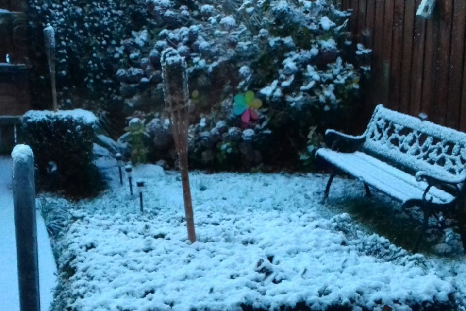 Snow in Belfast. Pic: Elisabete Tavares