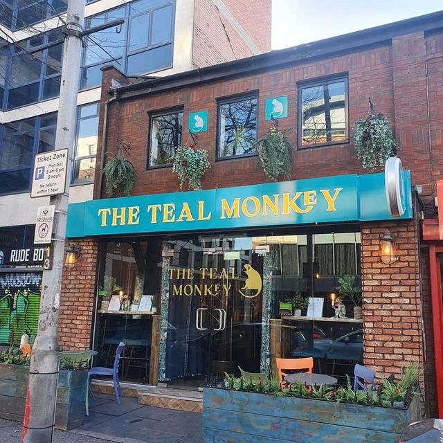 teal monkey