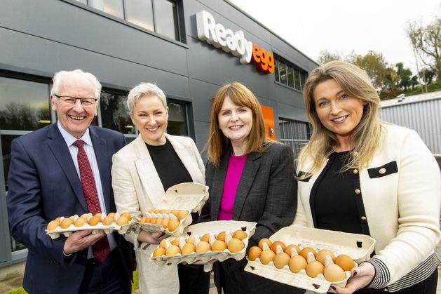 Ready Egg : la société de produits à base d’œufs Fermanagh annonce un investissement de 3 millions de livres sterling pour stimuler la croissance
