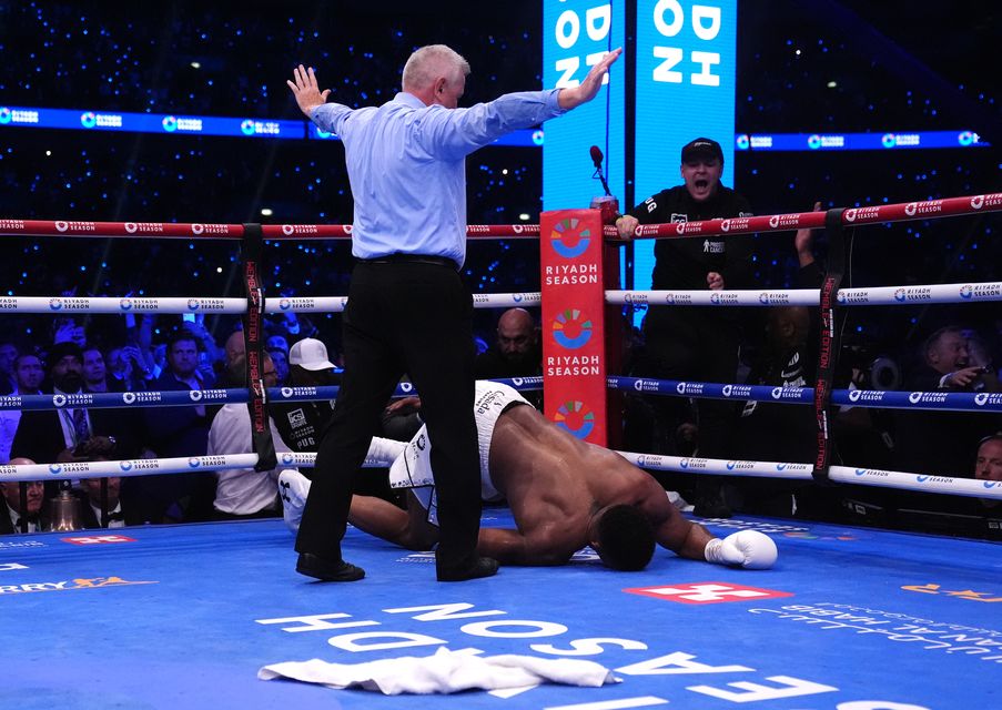 The referee stops the fight (Bradley Collyer/PA)