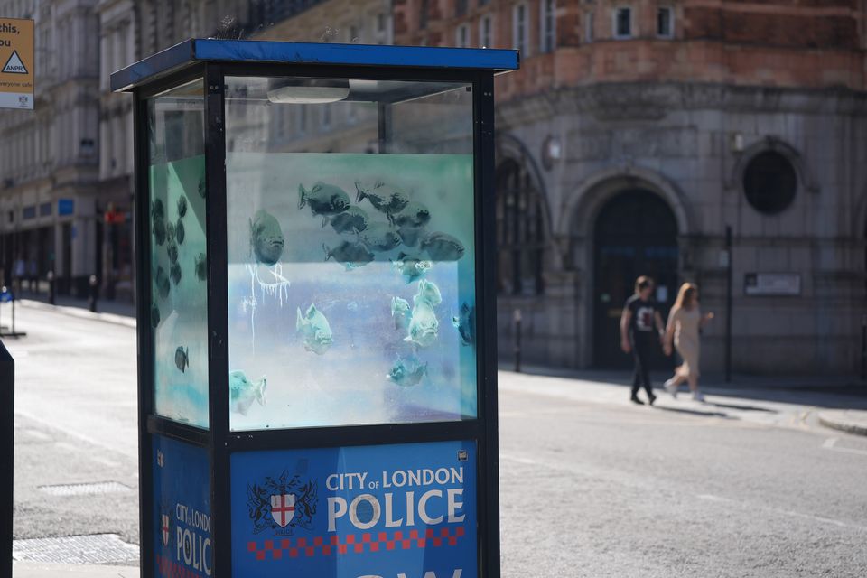 The new design of swimming piranhas appeared on a police box in the City of London on Sunday (Yui Mok/PA)